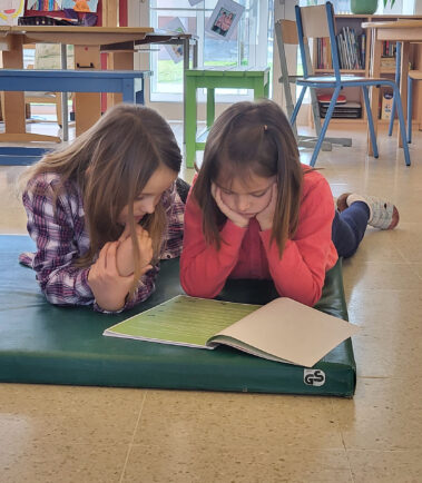 Diplomarbeit Projekt - Kooperation mit der VS Hagenberg zum Thema Biodiversität