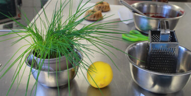 Foodstyling und Foodfotografie | Workshop in der HLW