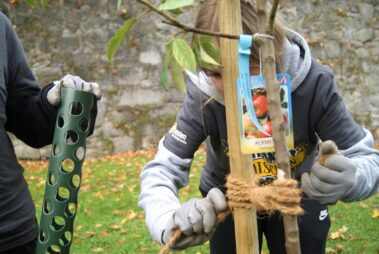 72 Stunden ohne Kompromiss