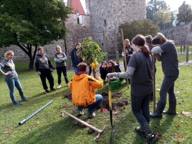 72 Stunden ohne Kompromiss