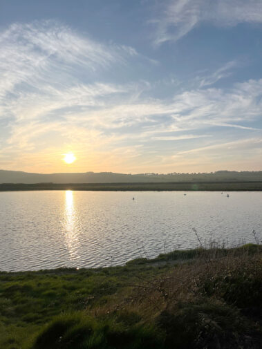 Language Trip Brighton 2024