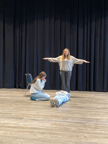 Theatertage der 2.HLW