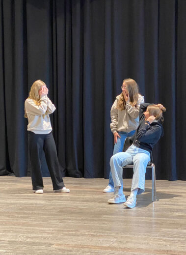 Theatertage der 2.HLW