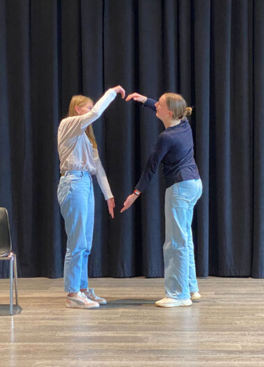 Theatertage der 2.HLW