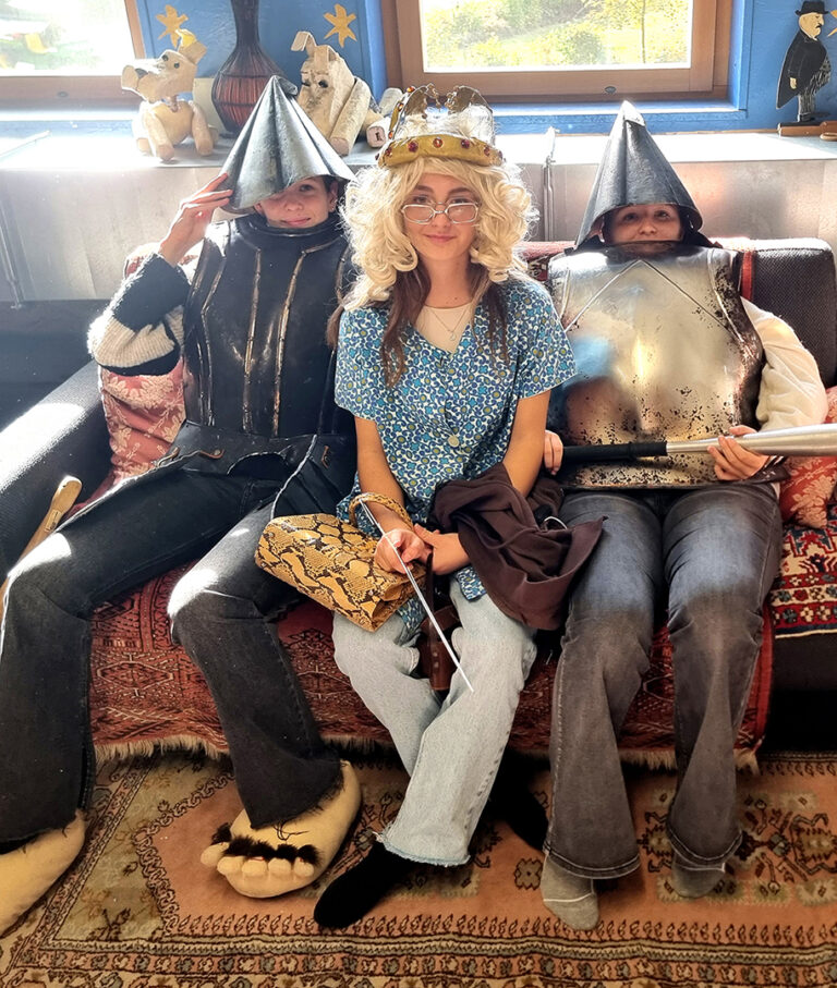 Theatertage der 2.HLW