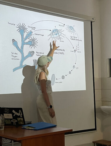 Meeresbiologische Projektwoche der Bionik-Vertiefung in Pula