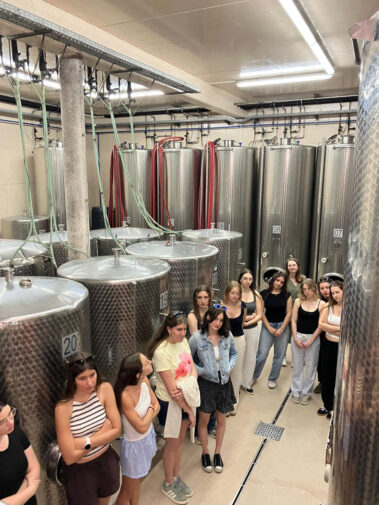 Wein- und Genussreise 2026