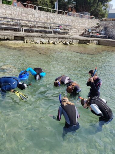 Meeresbiologische Projektwoche in Kroatien