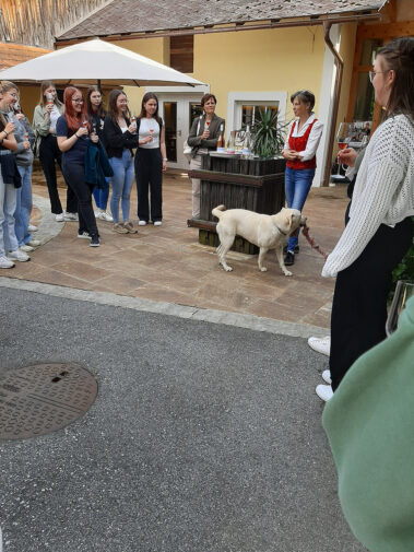 Wein- und Genussreise der 3. und 4. HLW 2024