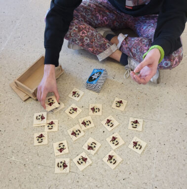 Diplomarbeit Projekt - Kooperation mit der VS Hagenberg zum Thema Biodiversität