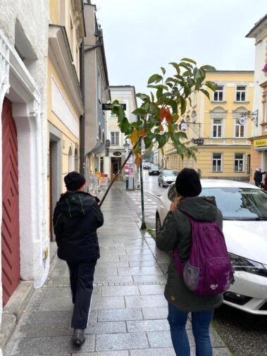 72 Stunden ohne Kompromiss