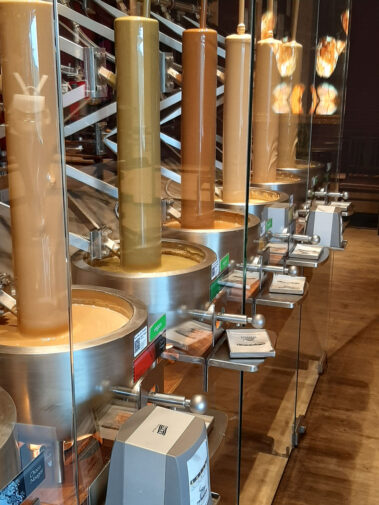 Wein- und Genussreise der 3. und 4. HLW 2024