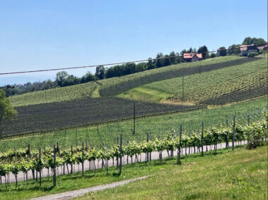 Wein- und Genussreise 2026