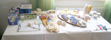 Käse Workshop