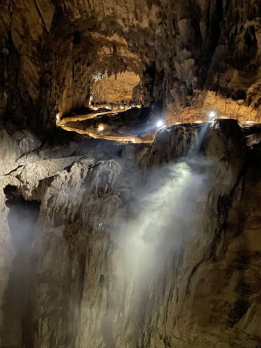 Meerebiologische Woche 2023