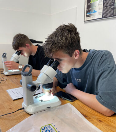 Meerebiologische Woche 2023