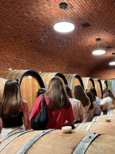 Wein- und Genussreise 2026
