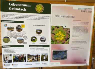 1. und 2. Platz beim Citizen Science Award 2024