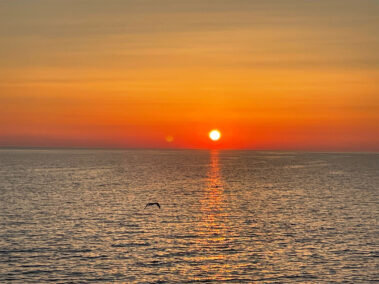 Meerebiologische Woche 2023