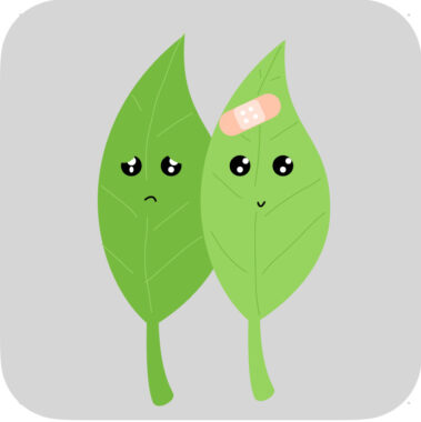 Eine App zur Begleitung für den Selbstheilungprozess bei Selbstverletzung von Jugendlichen.