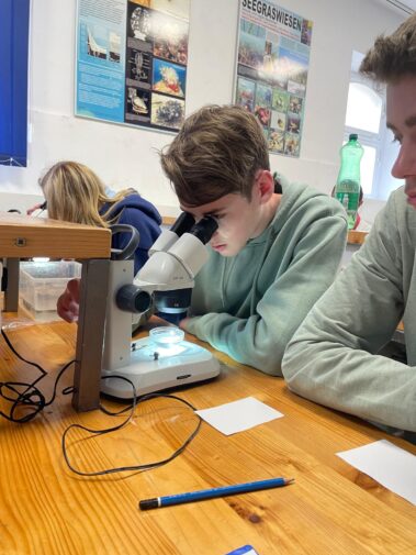 Meeresbiologische Projektwoche in Kroatien