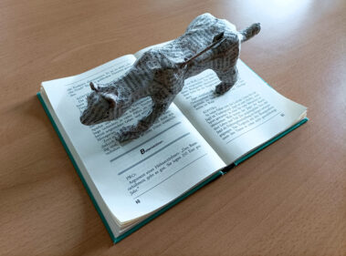 Arbeit von Finn Angerer