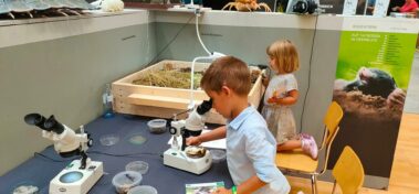 Bionik Messestand - Kinder entdecken Phänomene der Natur