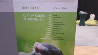 Bionik Messestand Bodentiere