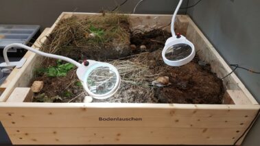 Bionik Messestand - Bodenlauschen