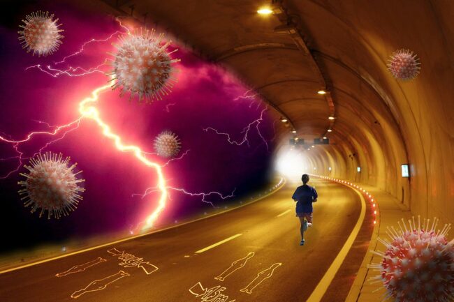 Bildcollage Reisinger