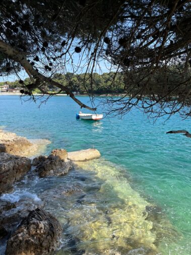 Meeresbiologische Projektwoche in Kroatien