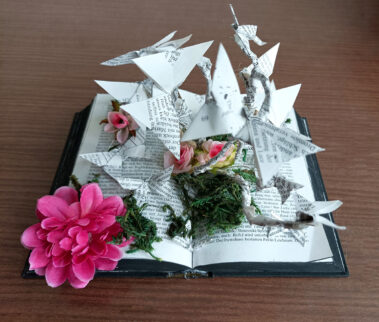 Arbeit von Jennifer Eichmair