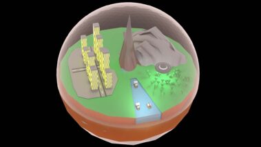 Low Poly World von Daniel Fritsch