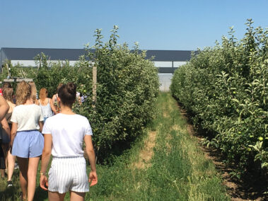 Besuch im Obstgarten Leeb