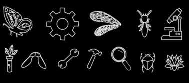 Icons für Baubionik