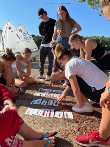 Meeresbiologische Woche in Kroatien 2021