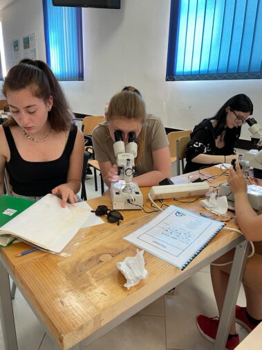 Meeresbiologische Woche in Kroatien 2021