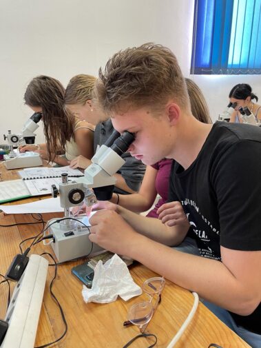 Meeresbiologische Woche in Kroatien 2021