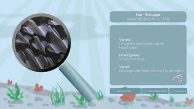 Interaktive Präsentation - Detail