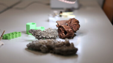 Tag der offenen Tür 2023