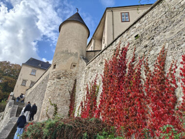 Theatertage der 2.HLW