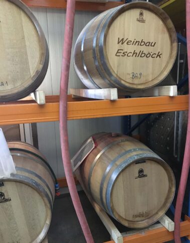 Exkursion - Winzer Eschlböck in Leonding