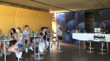 Weinverkostung im Weingut Heinrich in Gols